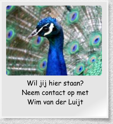 Wil jij hier staan?  Neem contact op met  Wim van der Luijt